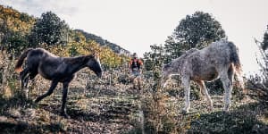 Trail des Patarins